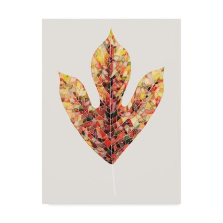 Grace Popp 'Fall Mosaic Leaf Ii' Canvas Art,18x24